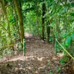 3febfb1f-cf1b-4c26-a106-c405881041f5