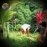 cc5e63dc-74d7-48c7-85f8-33044b2fbc56