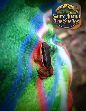 35_20250622_180128_0034