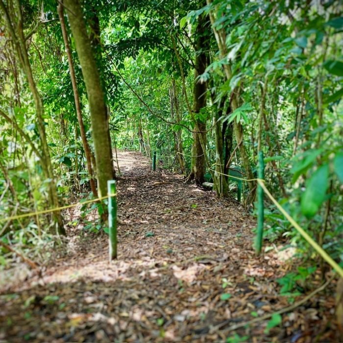 3febfb1f-cf1b-4c26-a106-c405881041f5