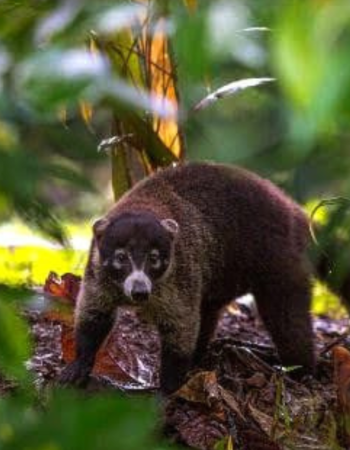 4_20250307_134015_0003