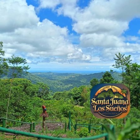 ed02b1e7-775e-4bb9-9874-4b5a615a77d9